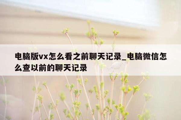 电脑版vx怎么看之前聊天记录_电脑微信怎么查以前的聊天记录