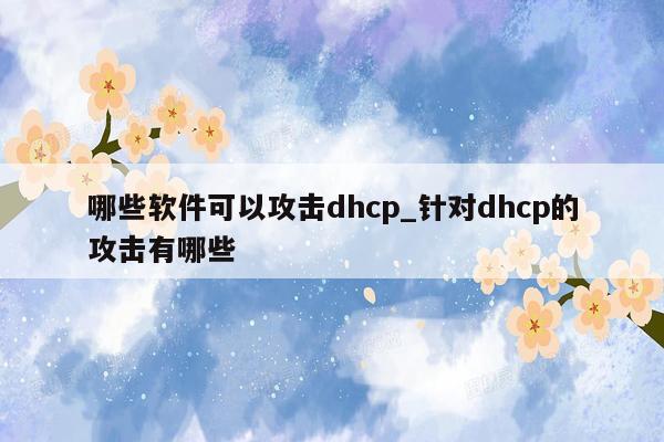 哪些软件可以攻击dhcp_针对dhcp的攻击有哪些