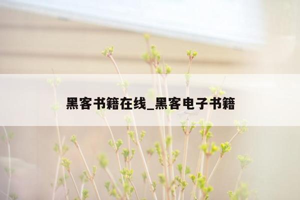 黑客书籍在线_黑客电子书籍