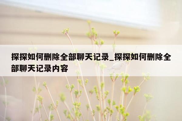 探探如何删除全部聊天记录_探探如何删除全部聊天记录内容