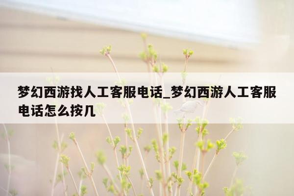 梦幻西游找人工客服电话_梦幻西游人工客服电话怎么按几