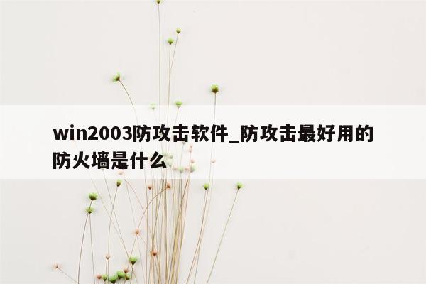 win2003防攻击软件_防攻击最好用的防火墙是什么