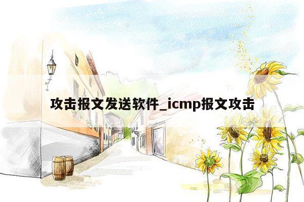 攻击报文发送软件_icmp报文攻击