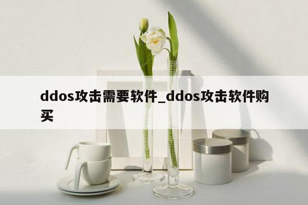 ddos攻击需要软件_ddos攻击软件购买