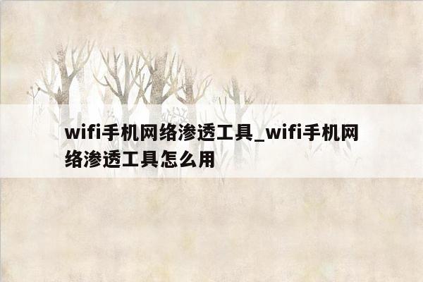 wifi手机网络渗透工具_wifi手机网络渗透工具怎么用