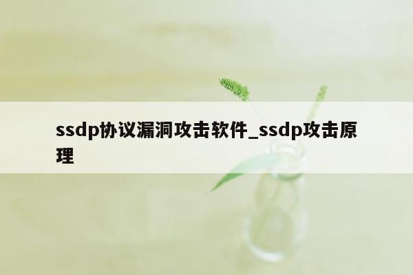 ssdp协议漏洞攻击软件_ssdp攻击原理