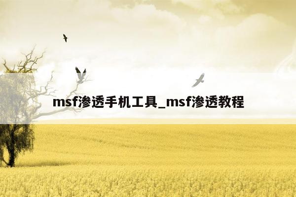 msf渗透手机工具_msf渗透教程