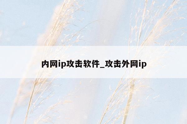 内网ip攻击软件_攻击外网ip