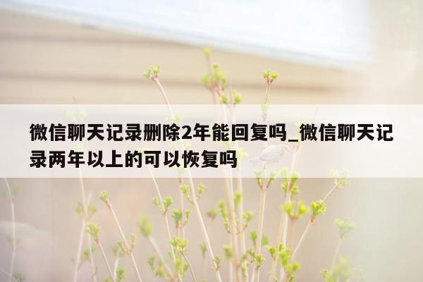 微信聊天记录删除2年能回复吗_微信聊天记录两年以上的可以恢复吗