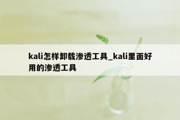 kali怎样卸载渗透工具_kali里面好用的渗透工具