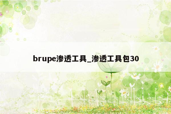 brupe渗透工具_渗透工具包30