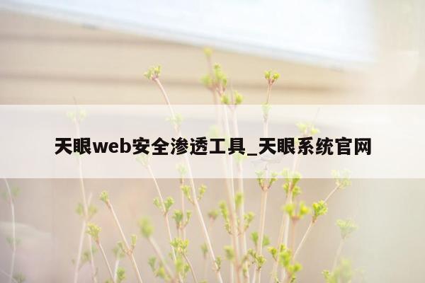 天眼web安全渗透工具_天眼系统官网