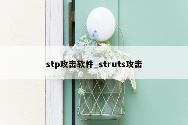 stp攻击软件_struts攻击