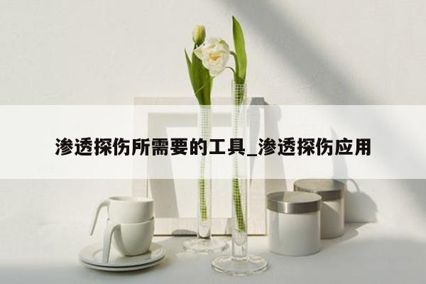 渗透探伤所需要的工具_渗透探伤应用