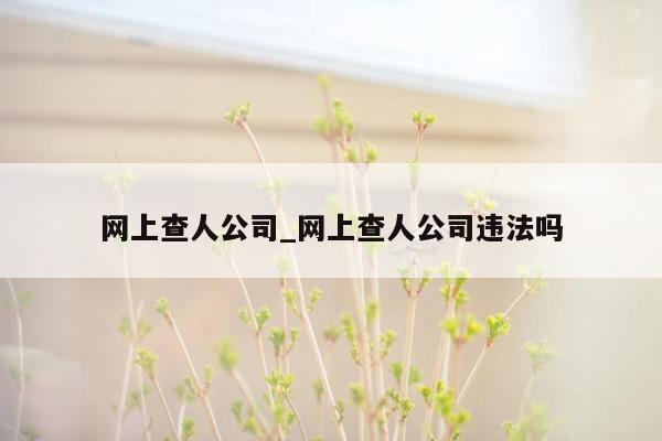 网上查人公司_网上查人公司违法吗