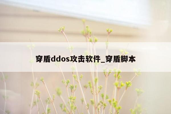 穿盾ddos攻击软件_穿盾脚本