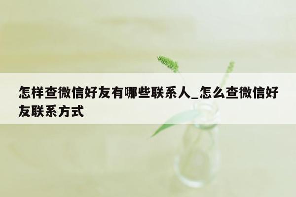 怎样查微信好友有哪些联系人_怎么查微信好友联系方式