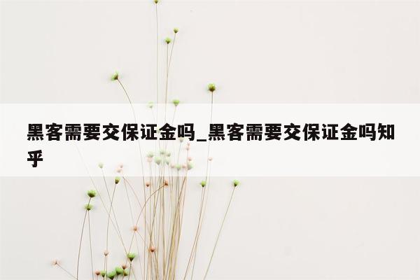 黑客需要交保证金吗_黑客需要交保证金吗知乎