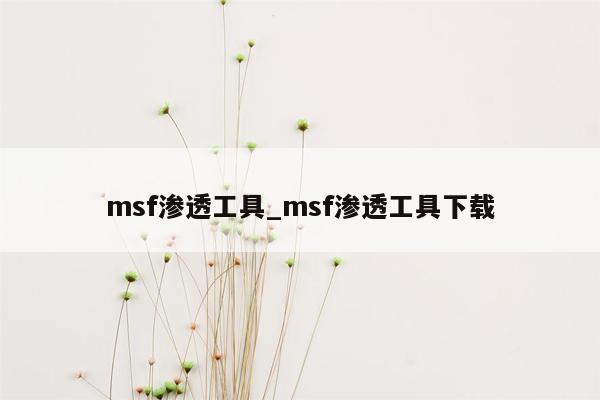 msf渗透工具_msf渗透工具下载