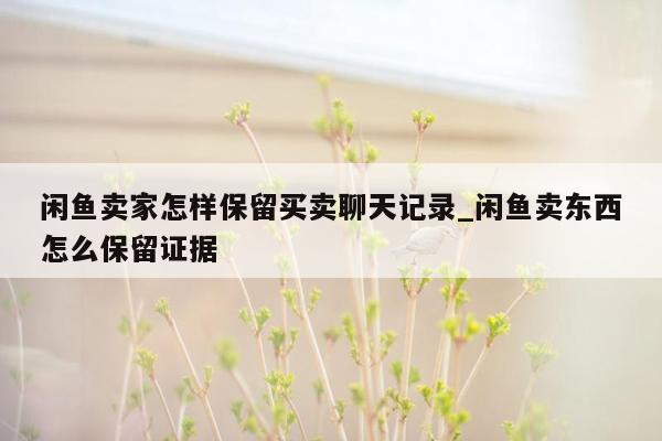 闲鱼卖家怎样保留买卖聊天记录_闲鱼卖东西怎么保留证据