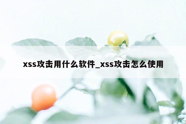 xss攻击用什么软件_xss攻击怎么使用