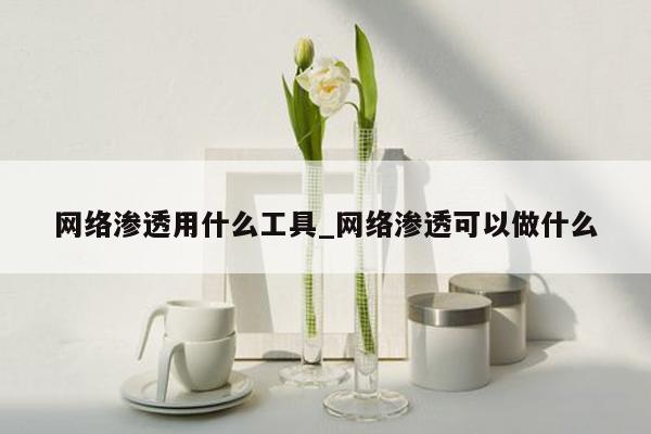 网络渗透用什么工具_网络渗透可以做什么