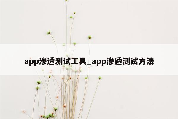 app渗透测试工具_app渗透测试方法