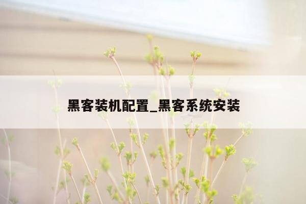 黑客装机配置_黑客系统安装