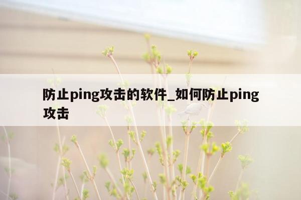 防止ping攻击的软件_如何防止ping攻击