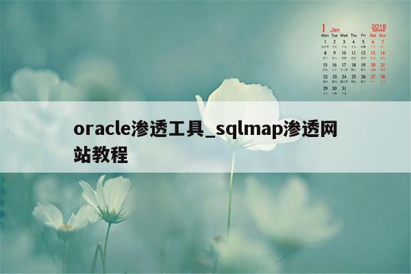 oracle渗透工具_sqlmap渗透网站教程