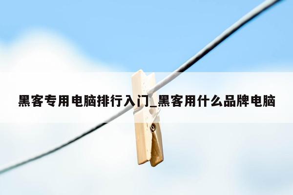 黑客专用电脑排行入门_黑客用什么品牌电脑