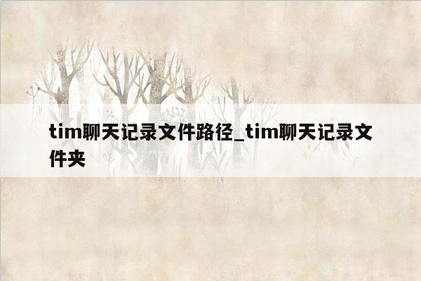 tim聊天记录文件路径_tim聊天记录文件夹