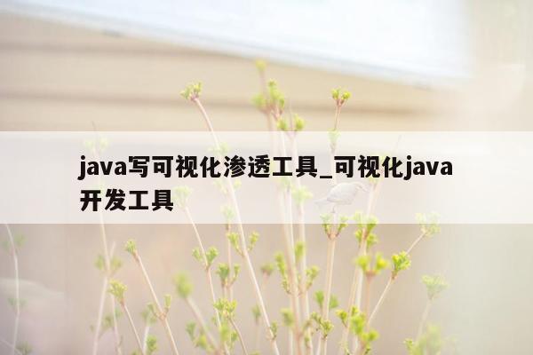 java写可视化渗透工具_可视化java开发工具