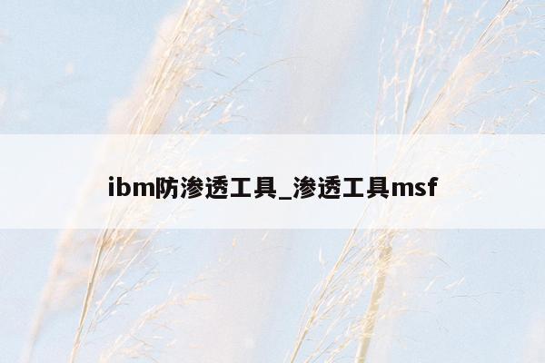 ibm防渗透工具_渗透工具msf