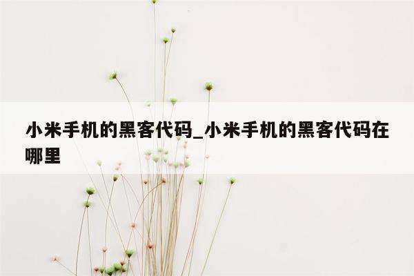 小米手机的黑客代码_小米手机的黑客代码在哪里