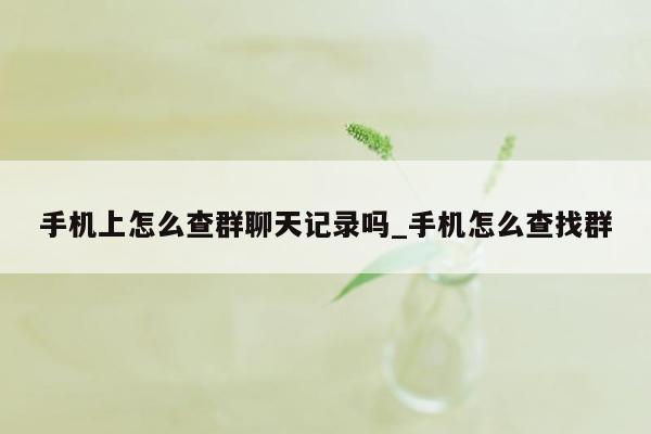 手机上怎么查群聊天记录吗_手机怎么查找群