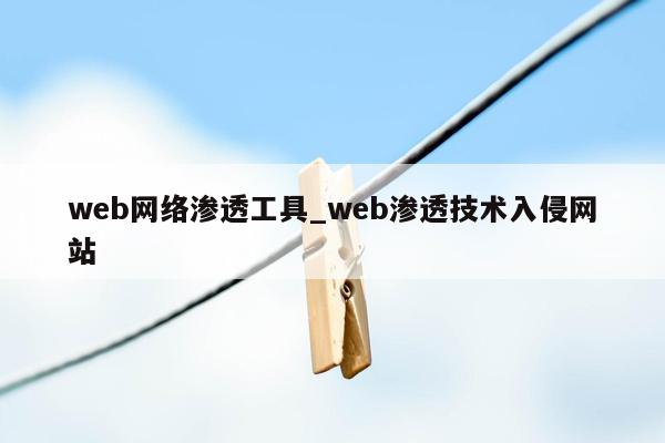 web网络渗透工具_web渗透技术入侵网站