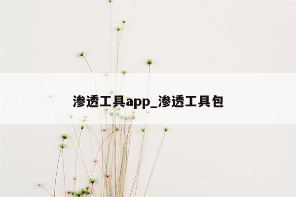 渗透工具app_渗透工具包