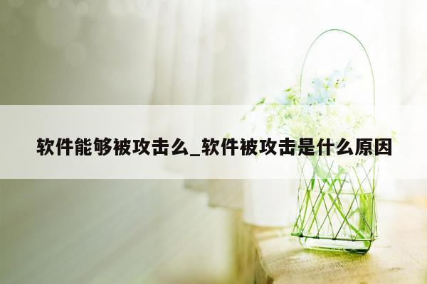 软件能够被攻击么_软件被攻击是什么原因