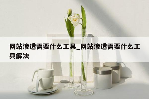 网站渗透需要什么工具_网站渗透需要什么工具解决