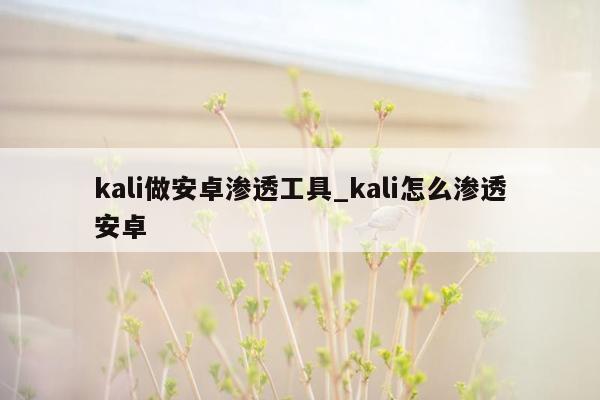 kali做安卓渗透工具_kali怎么渗透安卓