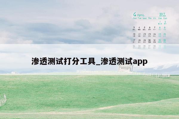 渗透测试打分工具_渗透测试app