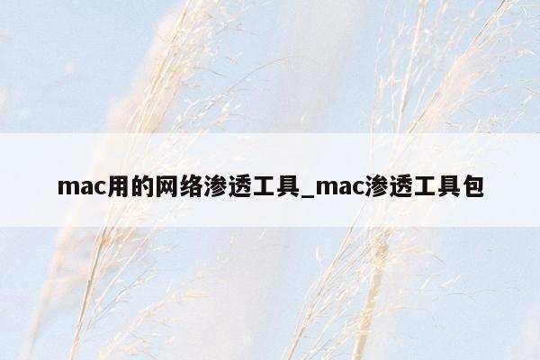 mac用的网络渗透工具_mac渗透工具包