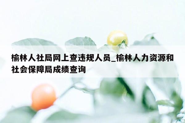 榆林人社局网上查违规人员_榆林人力资源和社会保障局成绩查询