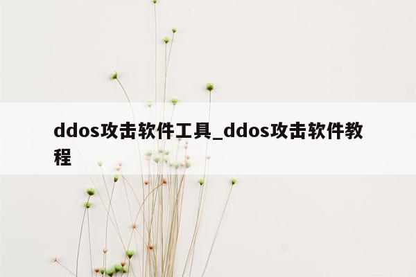 ddos攻击软件工具_ddos攻击软件教程