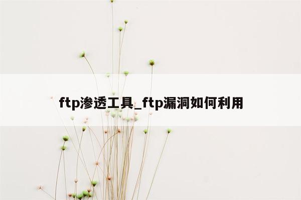 ftp渗透工具_ftp漏洞如何利用