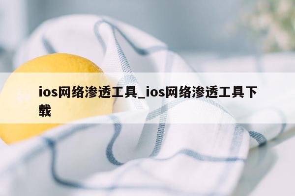 ios网络渗透工具_ios网络渗透工具下载