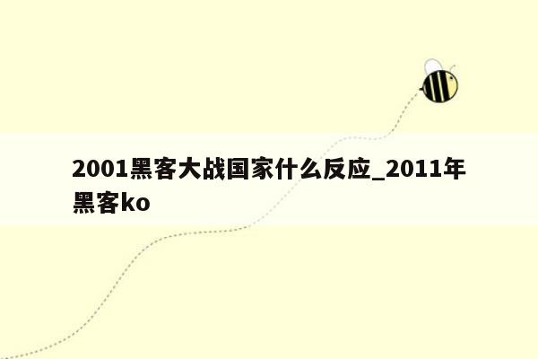 2001黑客大战国家什么反应_2011年黑客ko