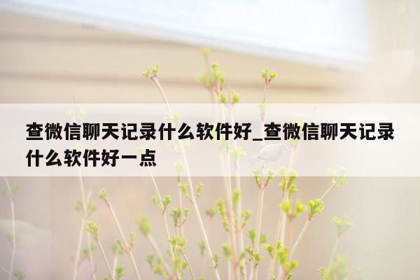 查微信聊天记录什么软件好_查微信聊天记录什么软件好一点