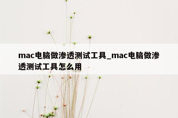 mac电脑做渗透测试工具_mac电脑做渗透测试工具怎么用